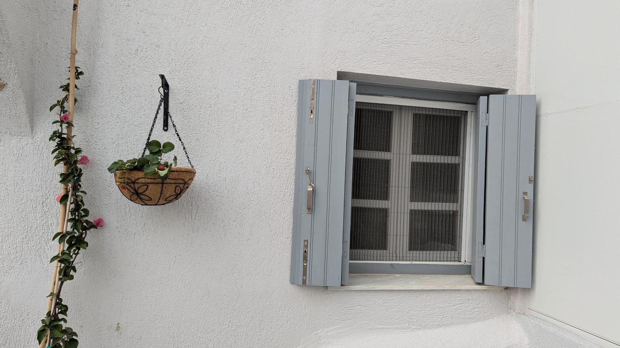 The Botanist Guesthouse سكوبيلوس تاون المظهر الخارجي الصورة