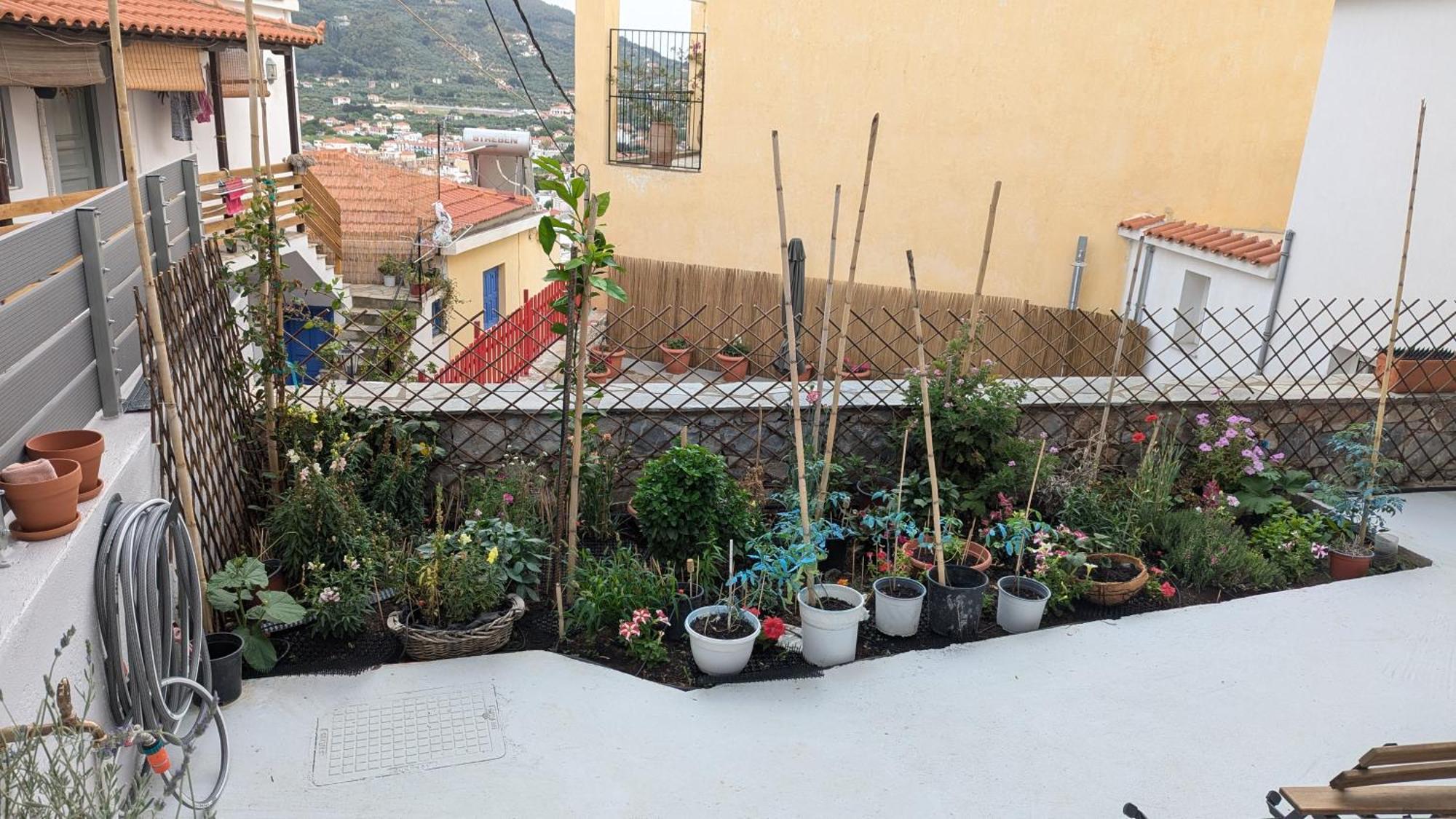 The Botanist Guesthouse سكوبيلوس تاون المظهر الخارجي الصورة