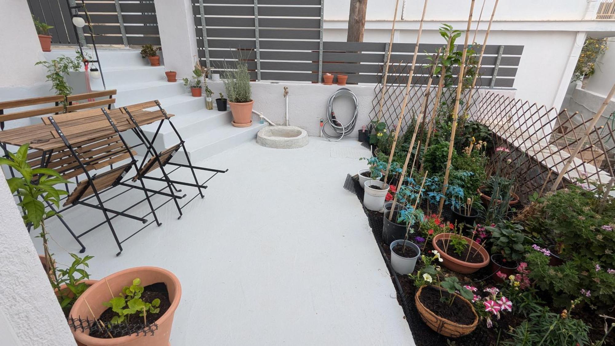 The Botanist Guesthouse سكوبيلوس تاون المظهر الخارجي الصورة