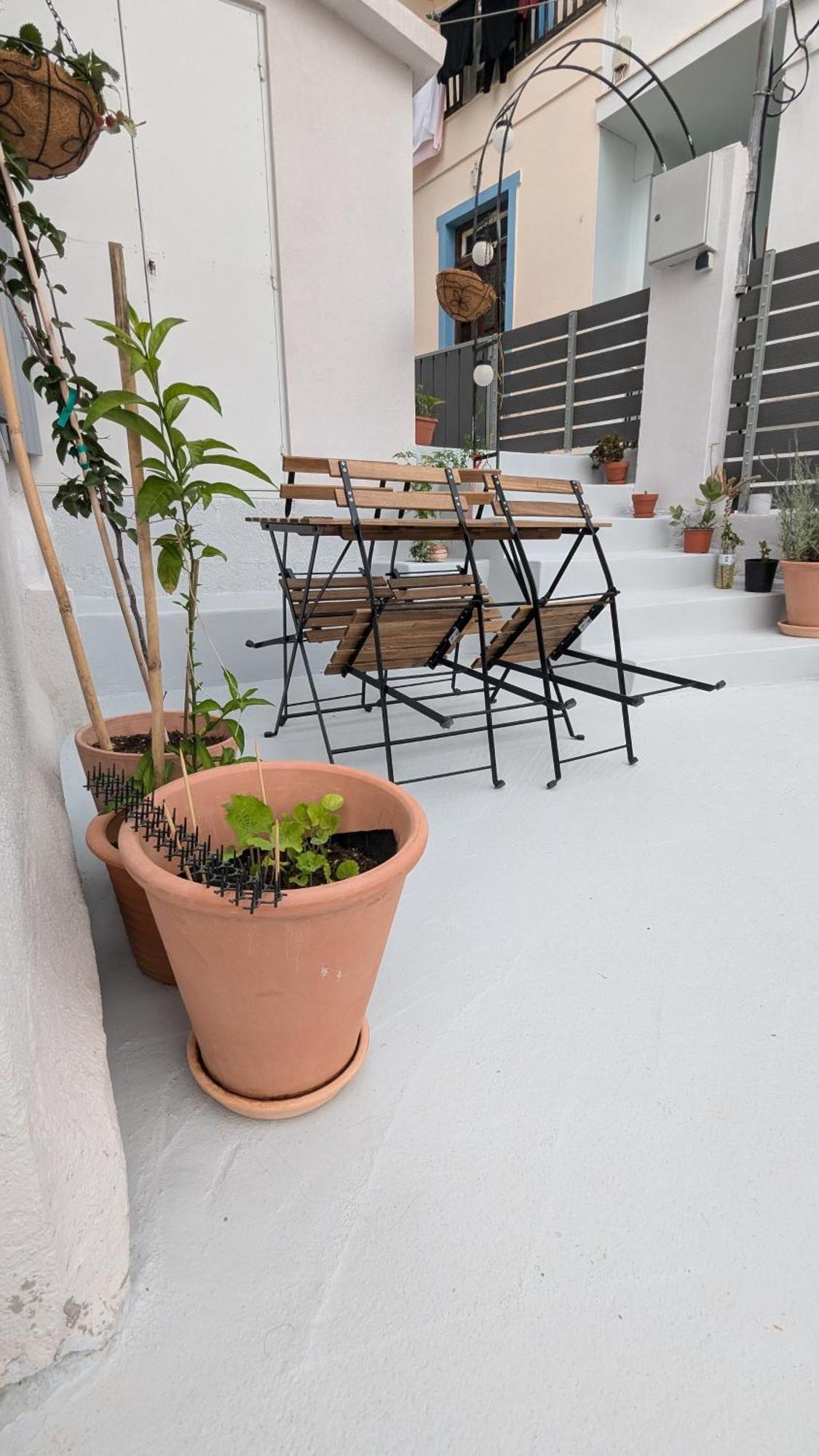 The Botanist Guesthouse سكوبيلوس تاون المظهر الخارجي الصورة